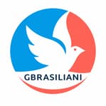 Logo di Gbrasiliani Srl